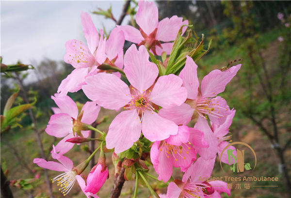 �A�Й���